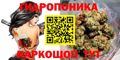 МДПВ Янаул
