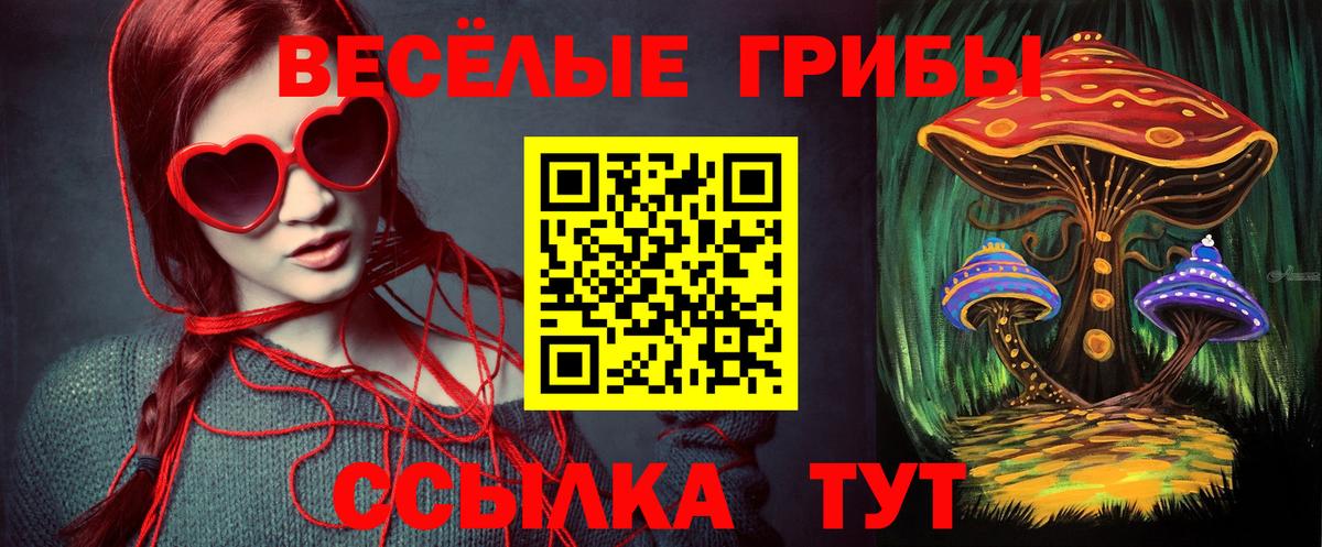 Псилоцибиновые грибы MAGIC MUSHROOMS  купить наркотики сайты  Вход с VPN  Камень-на-Оби  Галлюциногенные грибы ЛСД 